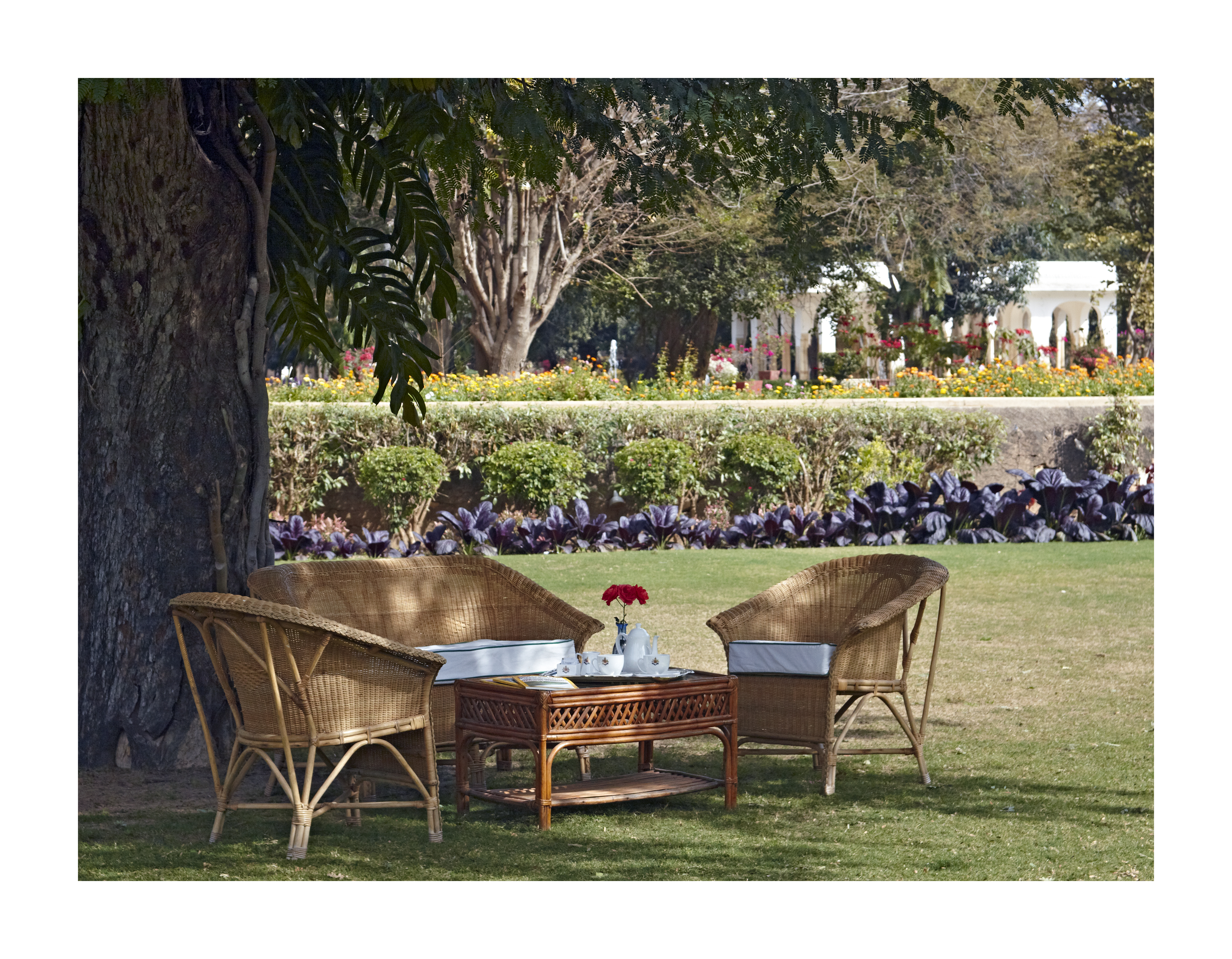 Image from Samode Bagh